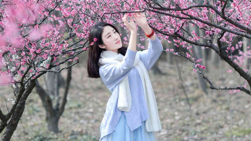 完税凭证是什么（完税凭证是什么）