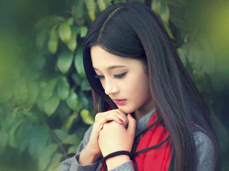 发财树价格 发财树多少钱一棵带盆 发财树价格是多少钱一棵