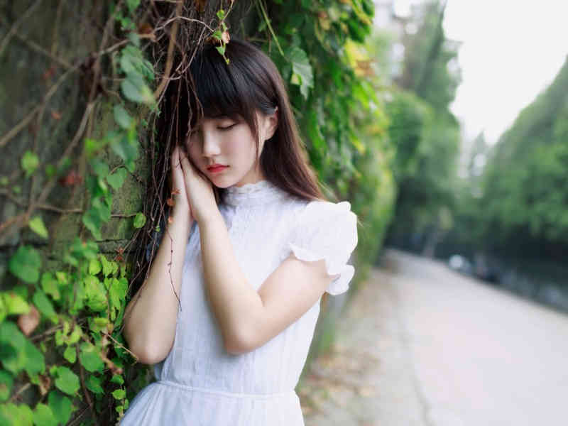 女子为给猪仔治病种4769株罂粟 网友：不要拿猪猪背锅